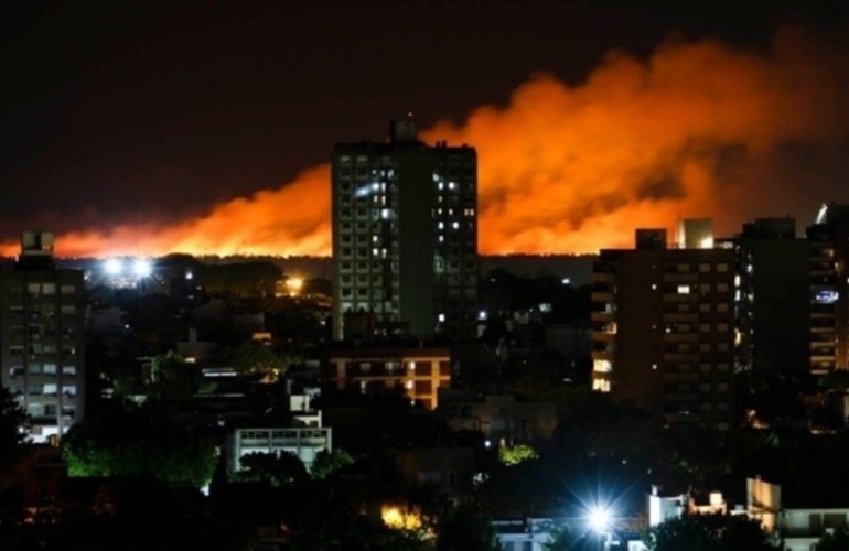 Imagen de Echaron al funcionario entrerriano que dijo que Rosario usa los incendios para no hablar de narcotr&aacute;fico