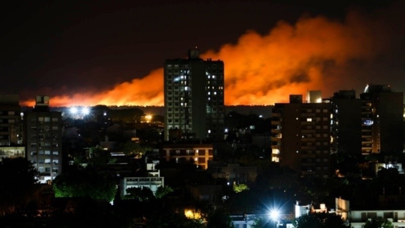 Imagen de Echaron al funcionario entrerriano que dijo que Rosario usa los incendios para no hablar de narcotr&aacute;fico