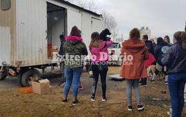 Imagen de Castraciones de perros y gatos