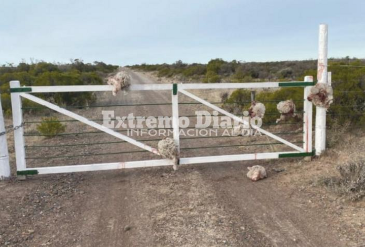 Sucedió en Chubut