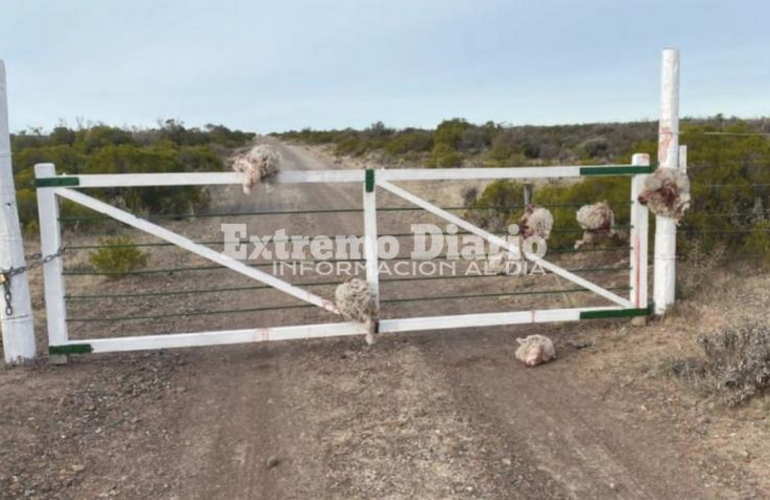 Sucedió en Chubut