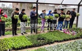 Imagen de La Escuela Especial comenz&oacute; a trabajar activamente en el vivero y huerta municipal