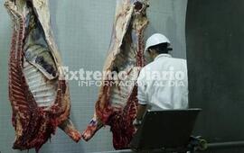 Imagen de Los alumnos del taller de �Faena de animales� realizan las pr&aacute;cticas en la empresa local, Mattievich