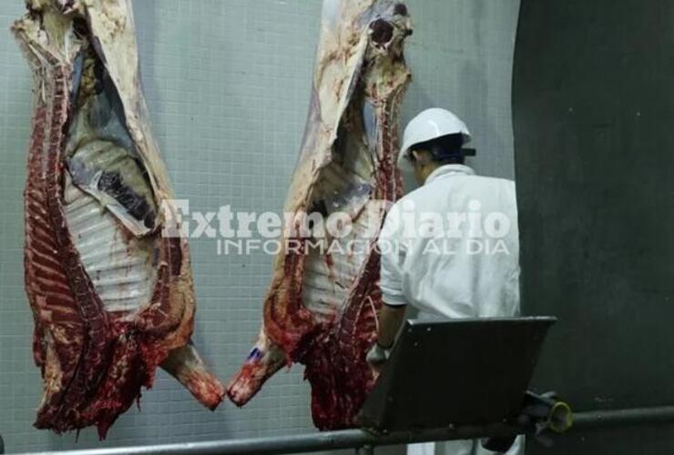 Imagen de Los alumnos del taller de Faena de animales realizan las prácticas en la empresa local, Mattievich