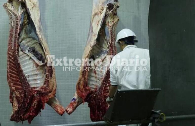 Imagen de Los alumnos del taller de Faena de animales realizan las prácticas en la empresa local, Mattievich