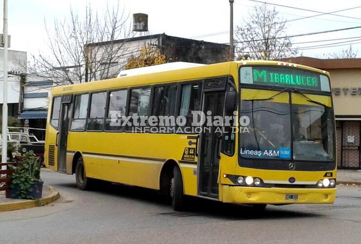 Imagen de La Línea M verde cambiará de recorrido en Fighiera