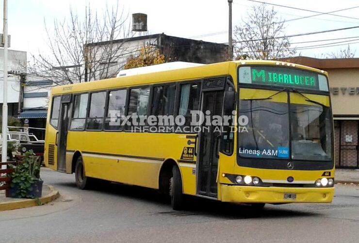 Imagen de La Línea M verde cambiará de recorrido en Fighiera