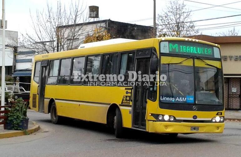 Imagen de La Línea M verde cambiará de recorrido en Fighiera