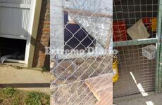 Fue durante las &uacute;ltimas horas y los delincuentes ingresaron violentando puertas.