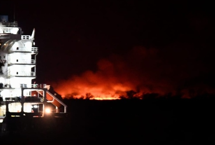 Imagen de Fuego en las islas: detuvieron a tres hombres prendiendo pastizales