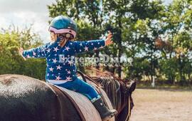 Imagen de Pueblo Esther: piden una ley provincial para regular la terapia con caballos