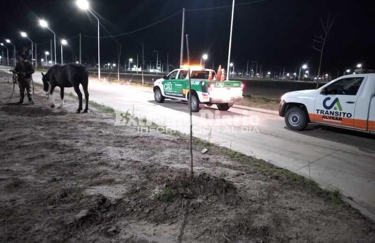 El procedimiento se realiz&oacute; entre las dos localidades