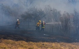 Imagen de Ordenan el apoyo de las Fuerzas Armadas en la emergencia por los incendios en el Delta del Paran&aacute;