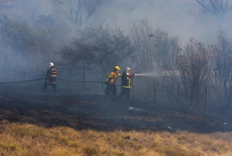 Imagen de Ordenan el apoyo de las Fuerzas Armadas en la emergencia por los incendios en el Delta del Paraná