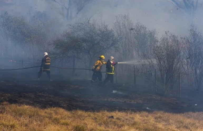 Imagen de Ordenan el apoyo de las Fuerzas Armadas en la emergencia por los incendios en el Delta del Paraná
