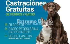 Imagen de Campa&ntilde;a de castraciones gratuitas de perros y gatos