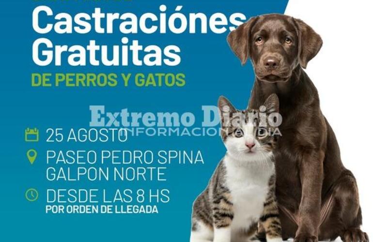 Imagen de Campaña de castraciones gratuitas de perros y gatos