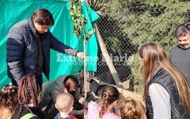 Imagen de Plantaci&oacute;n de &aacute;rboles en Fighiera