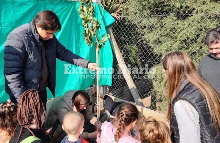 Imagen de Plantaci&oacute;n de &aacute;rboles en Fighiera