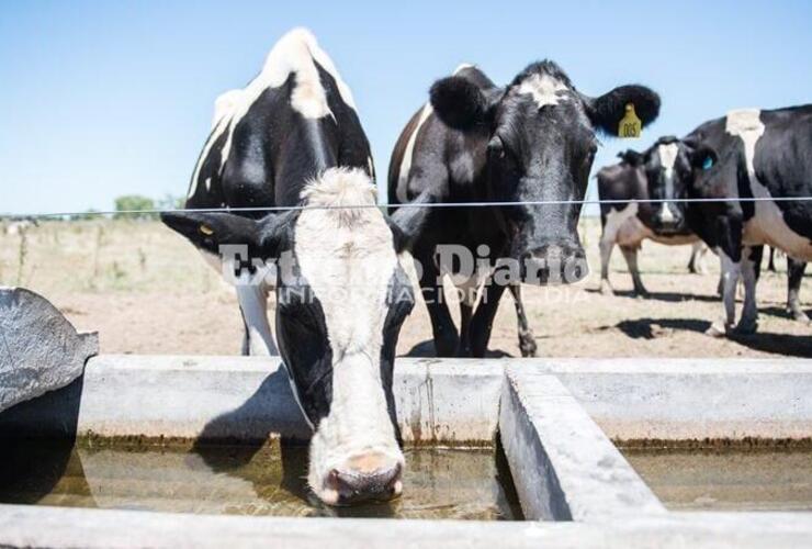 La sequía y los altos costos impactan en el sector. La sequía y los altos costos impactan en el sector.