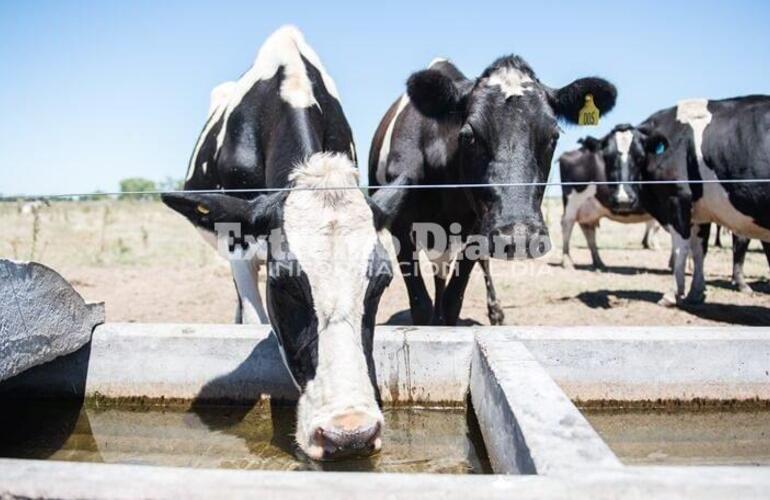 La sequ&iacute;a y los altos costos impactan en el sector.