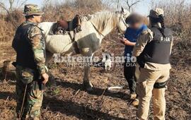Imagen de Ecocidio: los nuevos detenidos en el delta prend&iacute;an fuego para proteger sus colmenas
