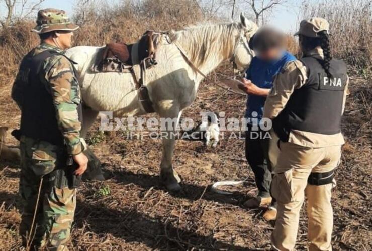 Imagen de Ecocidio: los nuevos detenidos en el delta prendían fuego para proteger sus colmenas