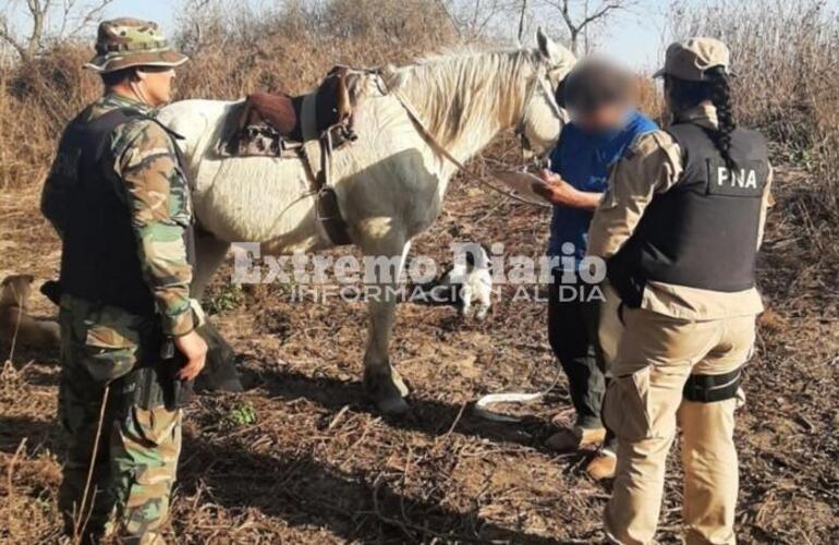 Imagen de Ecocidio: los nuevos detenidos en el delta prendían fuego para proteger sus colmenas