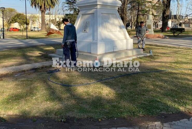 Ni uno. Se llevaron todos los plantines que se habían colocado.