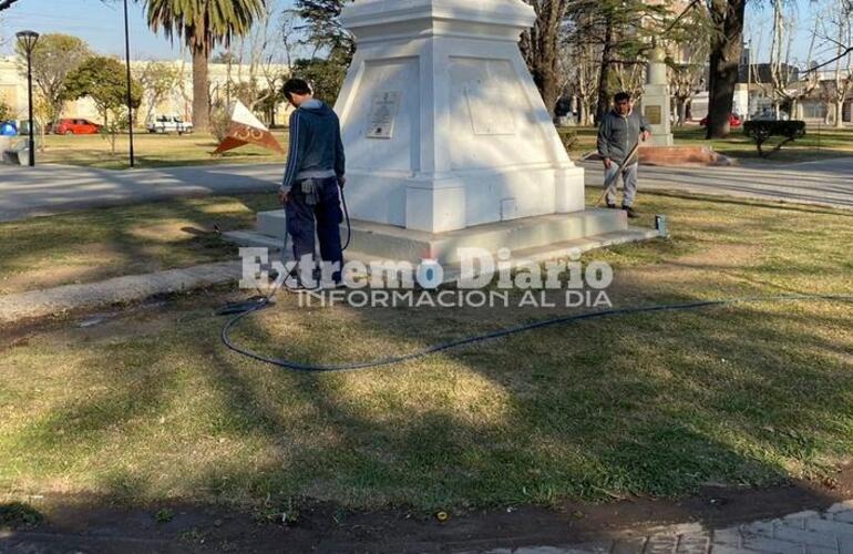 Ni uno. Se llevaron todos los plantines que se habían colocado.