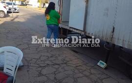 Imagen de Nueva jornada de castraciones en Fighiera