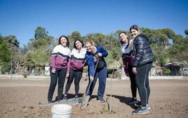 Las especies se plantaron en gran parte del Paisaje Protegido
