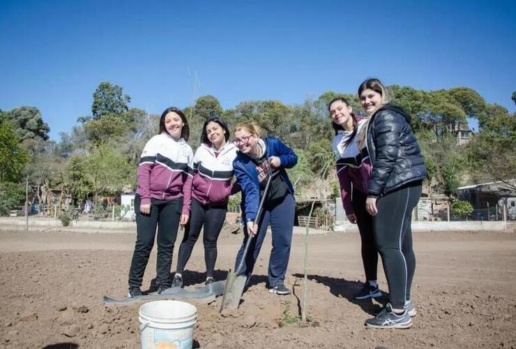 Las especies se plantaron en gran parte del Paisaje Protegido