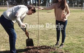 Imagen de Fighiera: La Comuna plantar&aacute; &aacute;rboles en diferentes espacios de la localidad