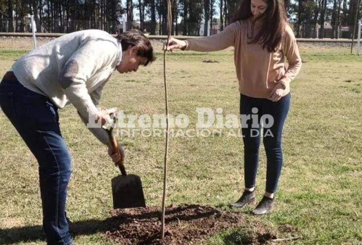 Imagen de Fighiera: La Comuna plantará árboles en diferentes espacios de la localidad