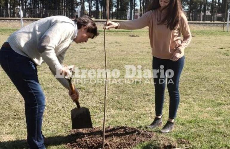 Imagen de Fighiera: La Comuna plantará árboles en diferentes espacios de la localidad