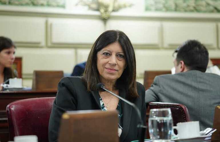 Imagen de Clara Garc&iacute;a: �Vamos por cinco semanas con paros docentes porque Perotti no quiso detener el conflicto�