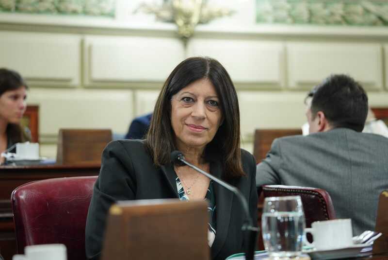 Imagen de Clara Garc&iacute;a: �Vamos por cinco semanas con paros docentes porque Perotti no quiso detener el conflicto�