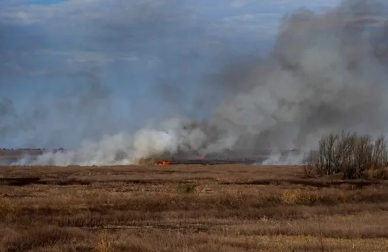 Desde el 14 de agosto a la actualidad se detuvo a siete personas en el Delta del Paran&aacute;. Foto: Virginia Benedetto / La Capital