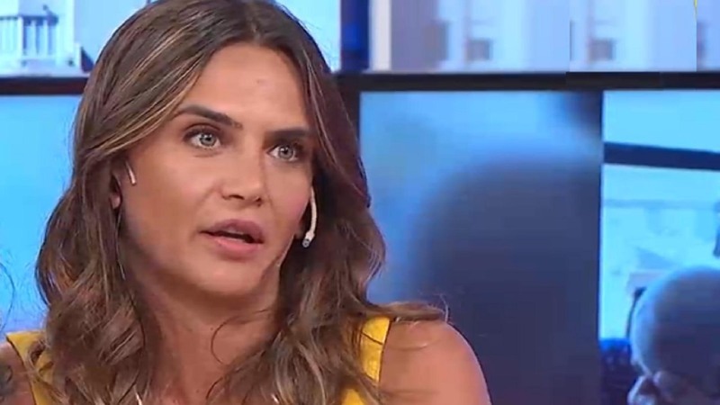 Imagen de Amalia Granata tild&oacute; de �pantomima� el atentado a Cristina