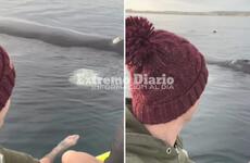 El video fue grabado el pasado 31 de agosto por Mariana Gioielli y Paolo Osta en Golfo Nuevo, Puerto Madryn.