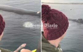 El video fue grabado el pasado 31 de agosto por Mariana Gioielli y Paolo Osta en Golfo Nuevo, Puerto Madryn.