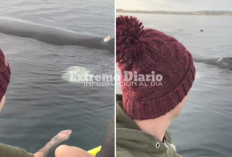 El video fue grabado el pasado 31 de agosto por Mariana Gioielli y Paolo Osta en Golfo Nuevo, Puerto Madryn.