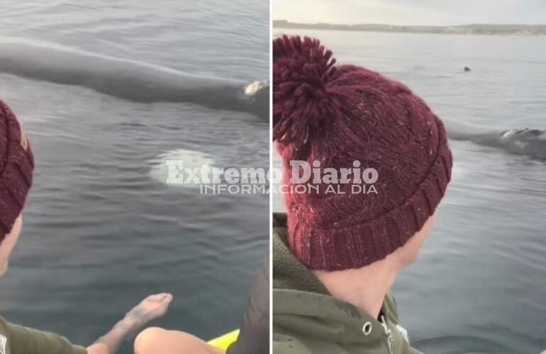 El video fue grabado el pasado 31 de agosto por Mariana Gioielli y Paolo Osta en Golfo Nuevo, Puerto Madryn.