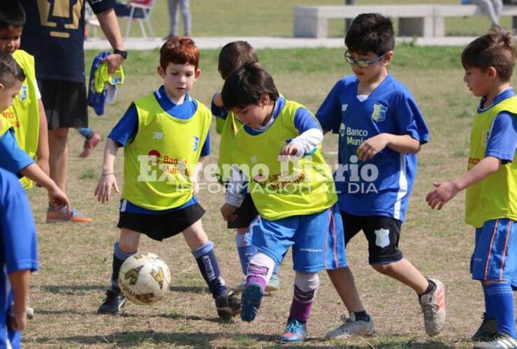 Imagen de Abrió la inscripción al programa de aportes al deporte comunitario