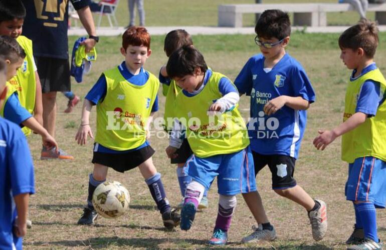 Imagen de Abrió la inscripción al programa de aportes al deporte comunitario