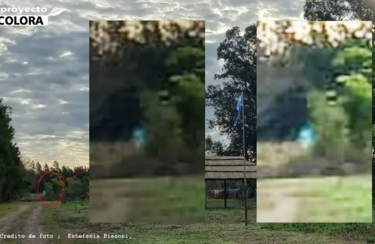 Reconquista. La fotografía fue tomada el martes 13 de julio a las 17:30 en la huerta de Estafanía Biasoni. Reconquista. La fotografía fue tomada el martes 13 de julio a las 17:30 en la huerta de Estafanía Biasoni.