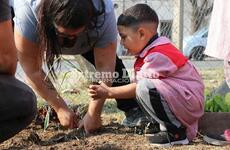 Imagen de Huerta y vivero municipal: Intervención en el Jardín "Lucecitas del Paraná"