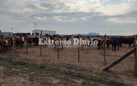 Imagen de �A lo que quiere llegar el equipo de Habilitaciones es a que disminuyan los olores�, dijo Crosio