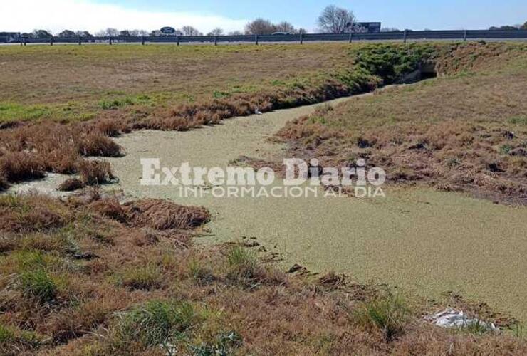 Lo que contiene la laguna verde contamina. La empresa deberá actuar urgentemente.